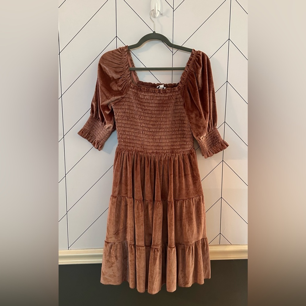 NWT Baltic Born Rose Velvet Dress